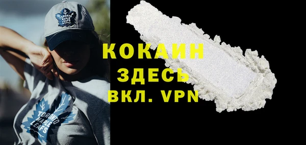 индика Волоколамск