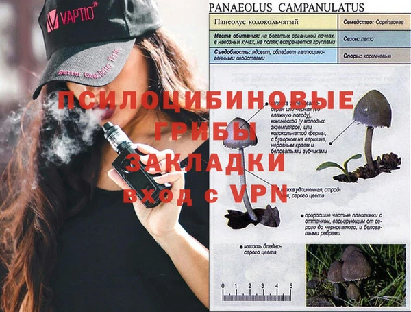 меф Сатка