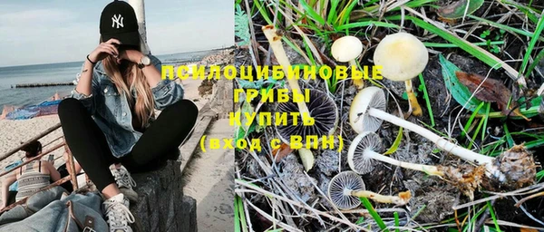 не бодяженный Верхний Тагил