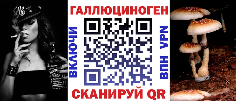 дарнет шоп Можайск Псилоцибиновые грибы Magic Shrooms